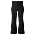 The North Face Descendit
