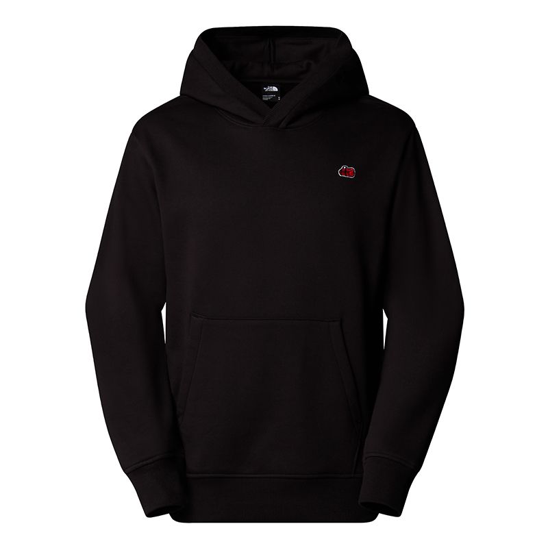 The North Face Icons