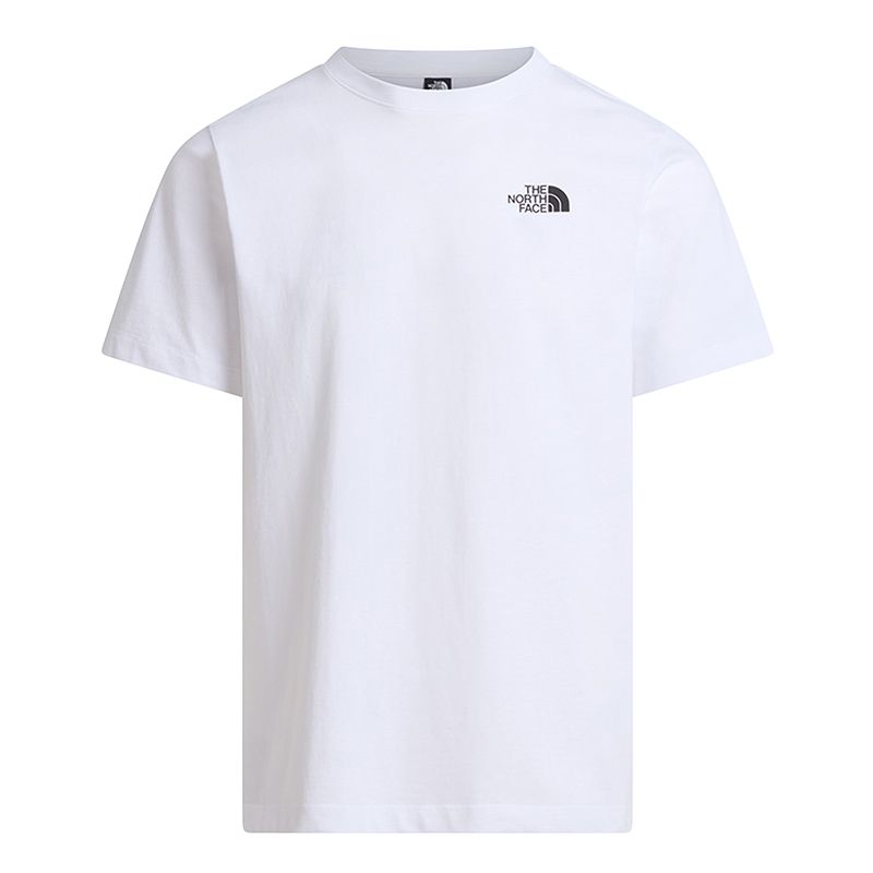 The North Face Regular Short Graphic