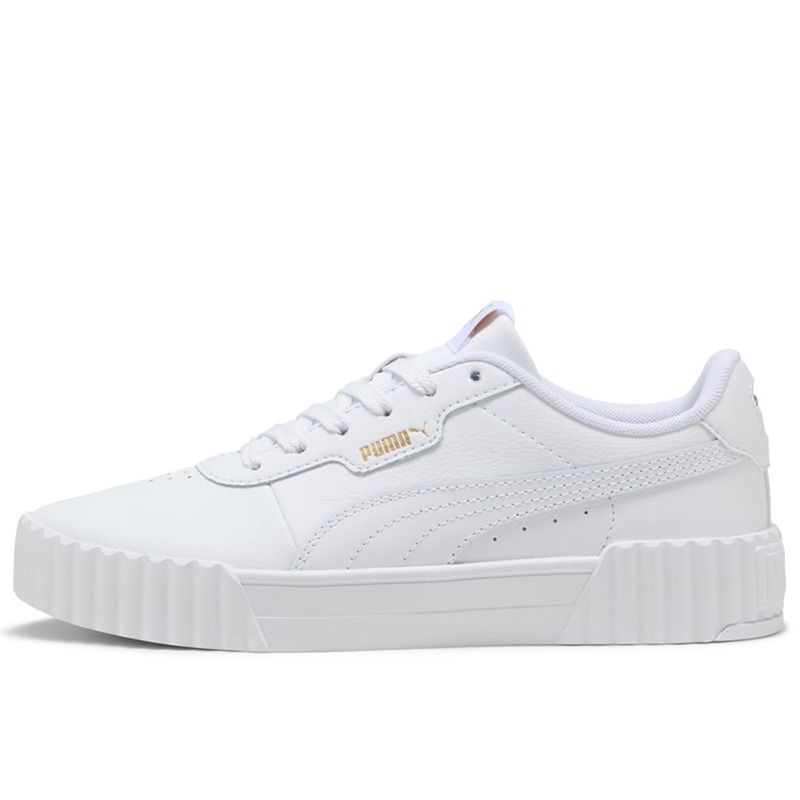 Puma Carina 3.0