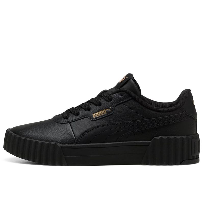 Puma Carina 3.0