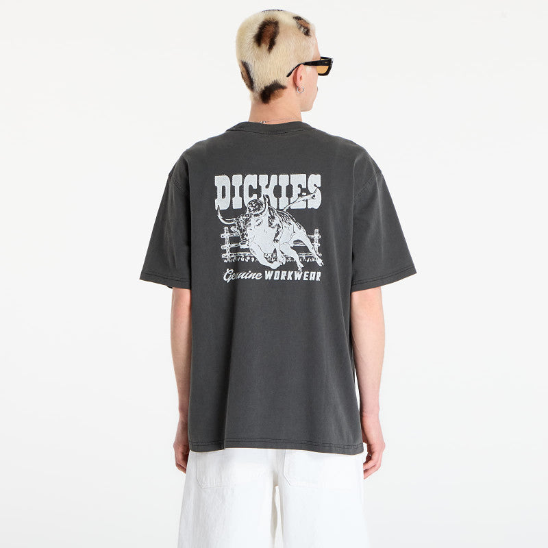 Dickies Buchtell Short Sleeve Tee Black