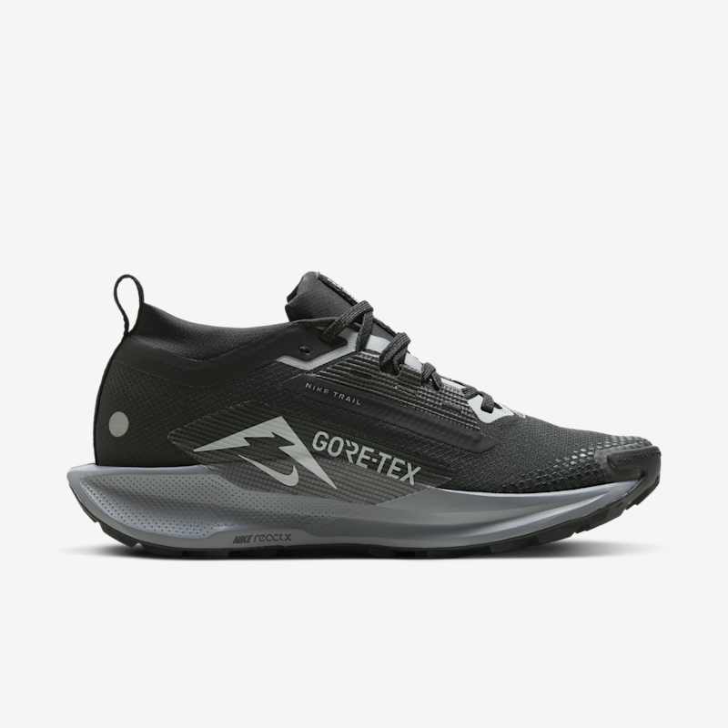 Nike Wmns Pegasus Trail 5 Gore-Tex