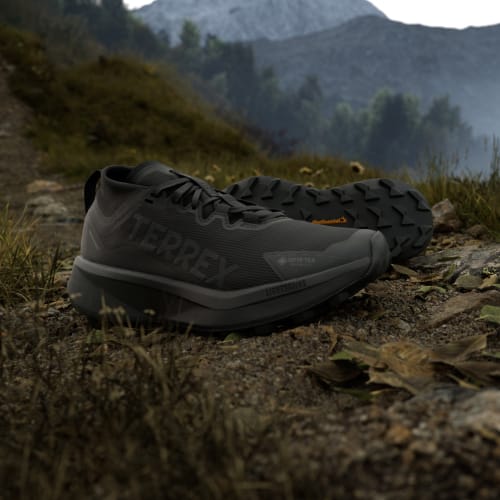 adidas Wmns Terrex Agravic GTX Trail Running