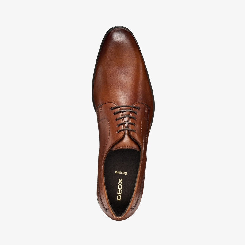 Geox Thalos Brown